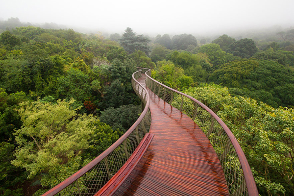 Tour du lịch Châu Phi với cây cầu đi bộ trên ngọn cây